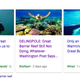 Illustration for article titled Google Top Stories Serves Breitbart Bullshit on Climate Science
